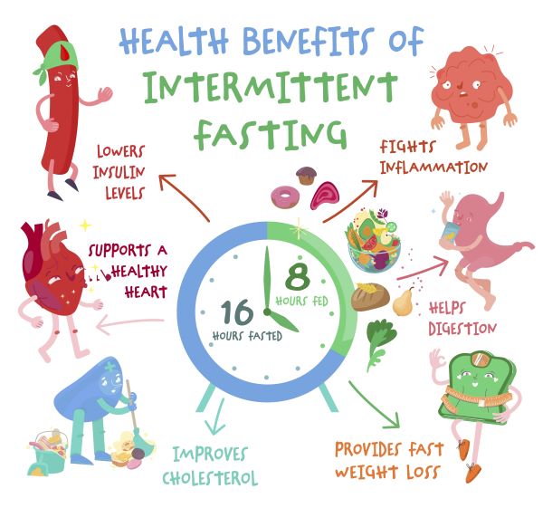 168 Intermittent Fasting Guide - 21 Day Hero